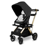 Stroll & Lounge Travel System